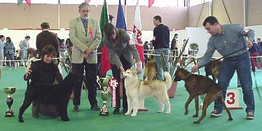 9� Int. V. Franca de Xira - 17 de Fevereiro 2002 - R BIS