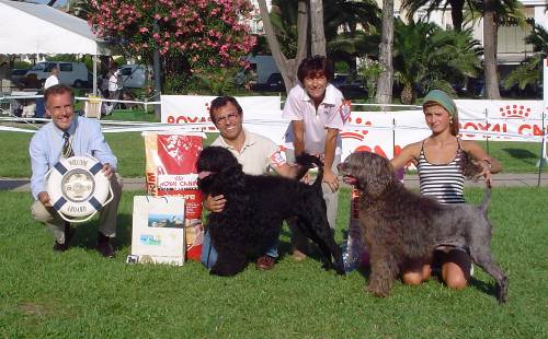Monografica 2003 - BIS